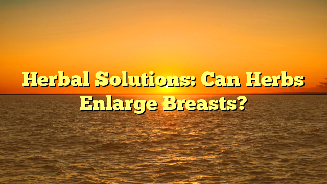 Herbal Solutions: Can Herbs Enlarge Breasts?
